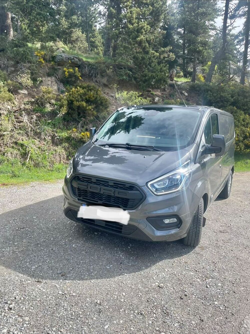 Transit Custom 310 L1H1 2.0 EcoBlue 170 BVA Sport 2019 occasion 66120 &Eacute;gat