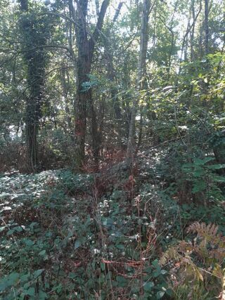  Terrain � vendre 1800 m� Ornacieux