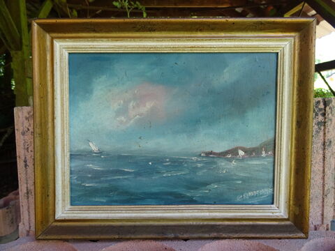 Peintures encadres paysages et fleurs+assiettes dcoratives 0 Lyon 5 (69)