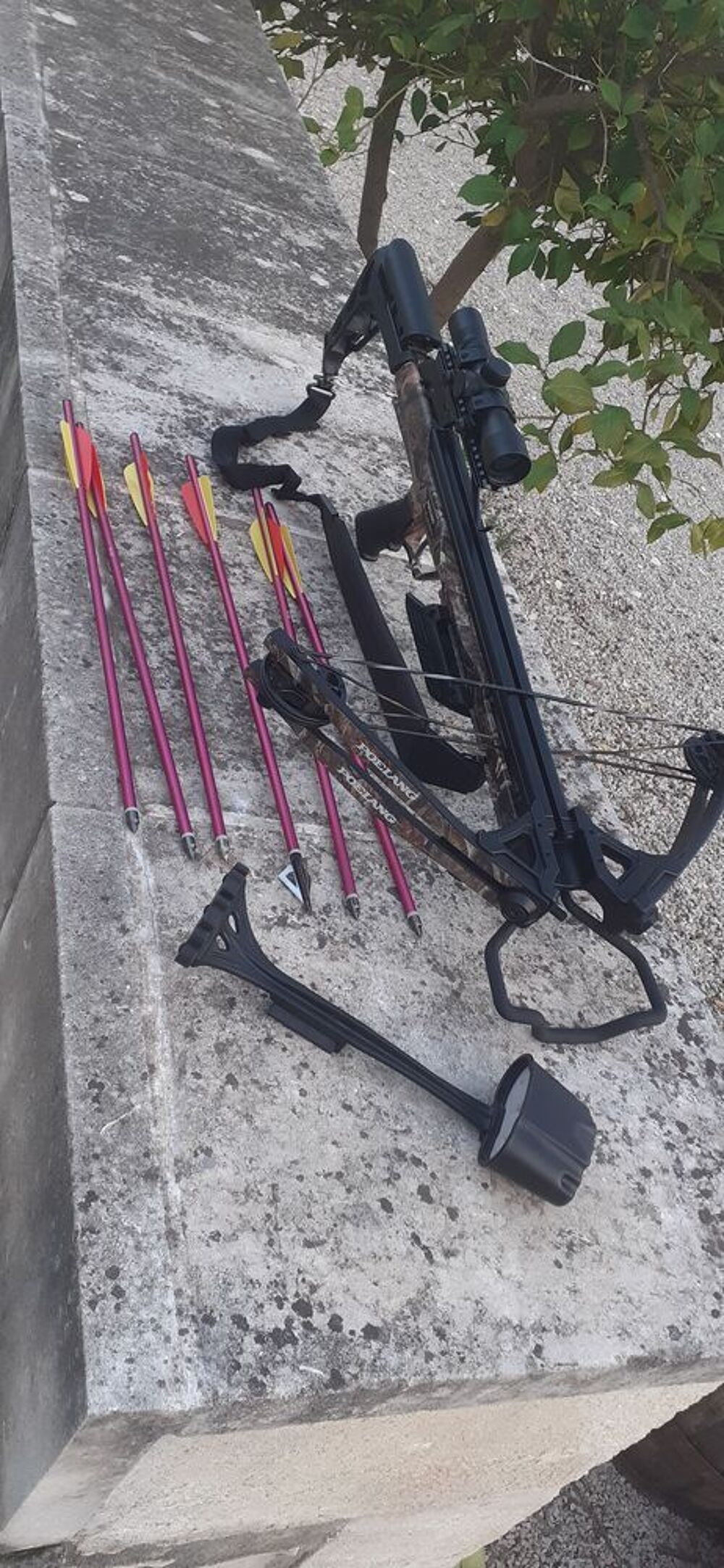 Arbal&egrave;te Sports