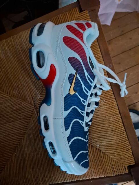 Chaussures Nike PSG 115 Valines (80)