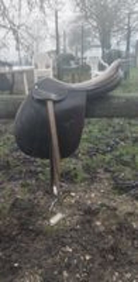   SELLES PONEY / CHEVAL 