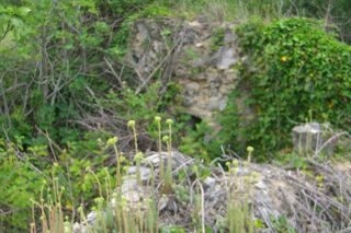  Terrain � vendre 9040 m� Lagorce