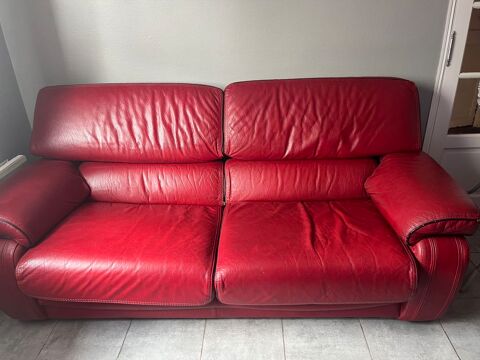 Salon cuir buffle 100 Haubourdin (59)