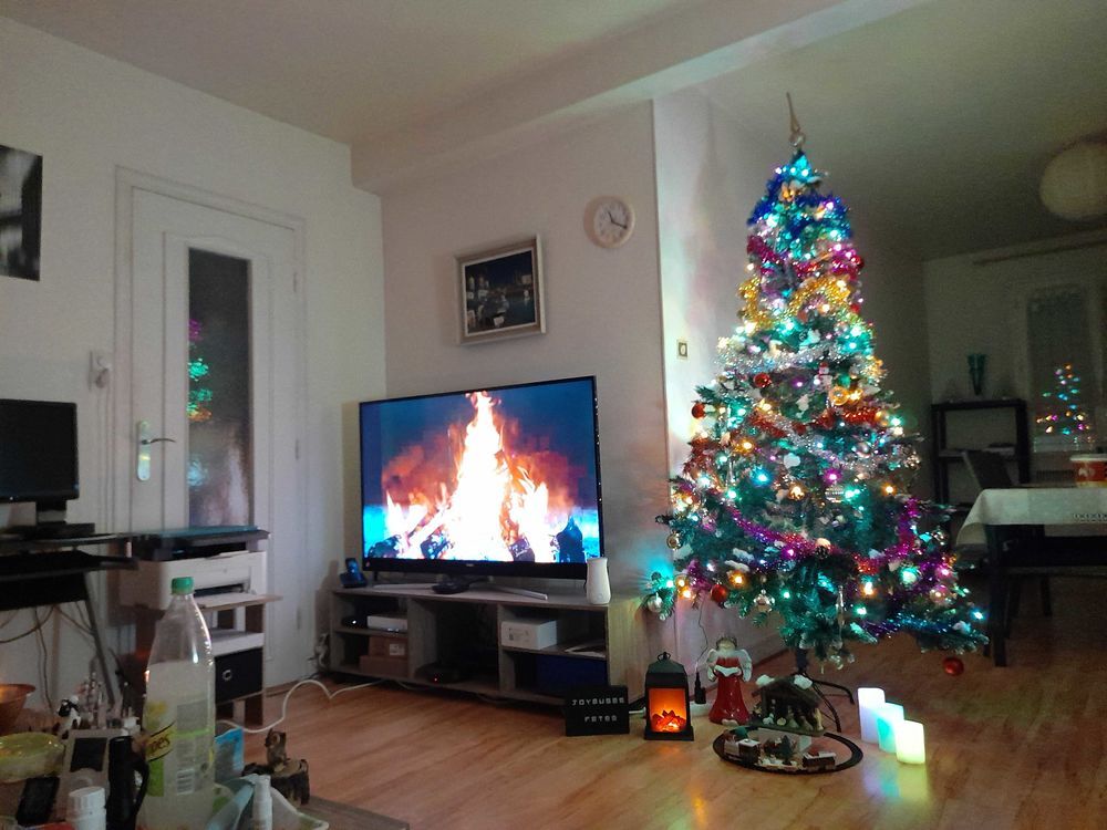 sapin garnis Décoration