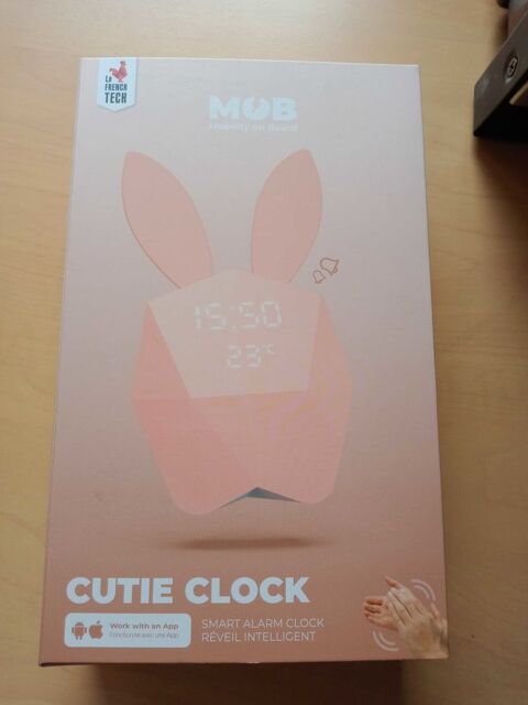 r�veil intelligent 18 Thierville (27)