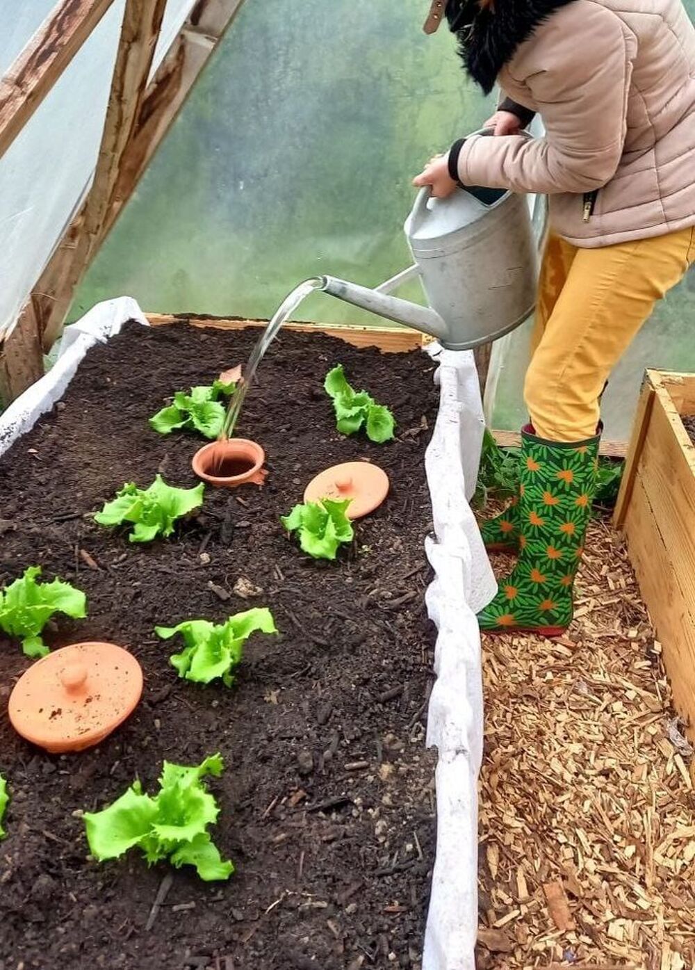 Oyas ou Ollas - Good Artisanal
Jardin