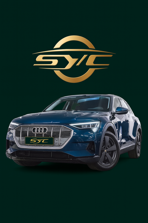 Audi E-TRON e-tron 50 quattro 313 ch 2022 occasion Paris 75008