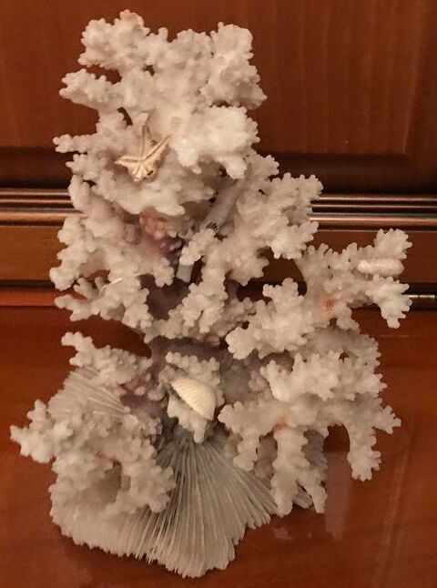 CORAUX 15 Rosny-sous-Bois (93)