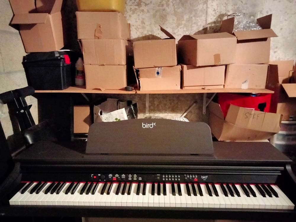 Piano bird DP1 mat
Ann&eacute;e 2020 Instruments de musique