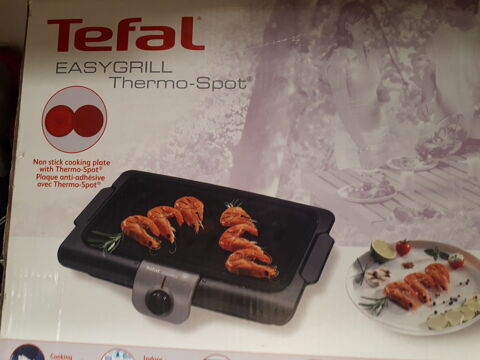 grill Tefal thermo-spot 30 Martigues (13)