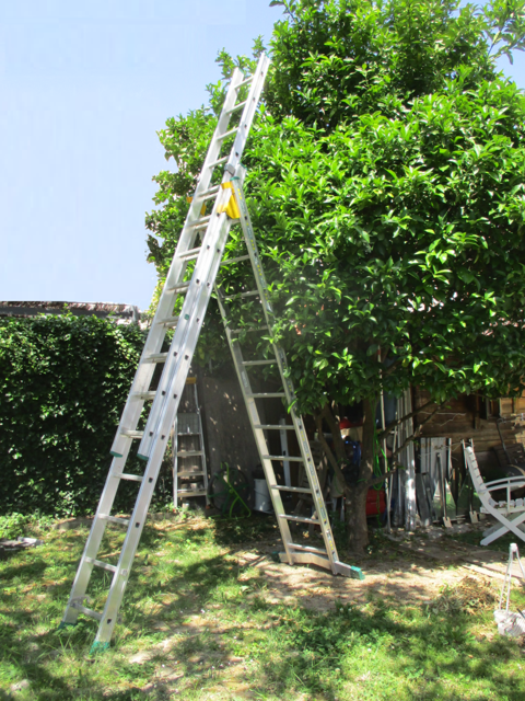 MACC - Echelle triple 3 x 12 750 Cagnes-sur-Mer (06)