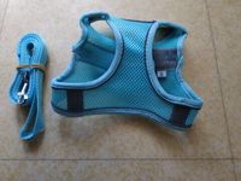   Harnais+ laisse pour chien ? 