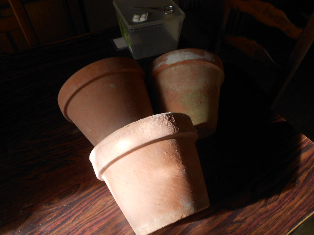 3 POTS EN TERRE CUITE VENIR SUR PLACE Jardin