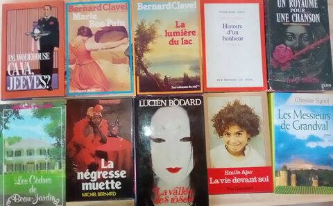 Lot de 10 livres Romans Divers Ecrivains 10 Saint-Dizier (52)