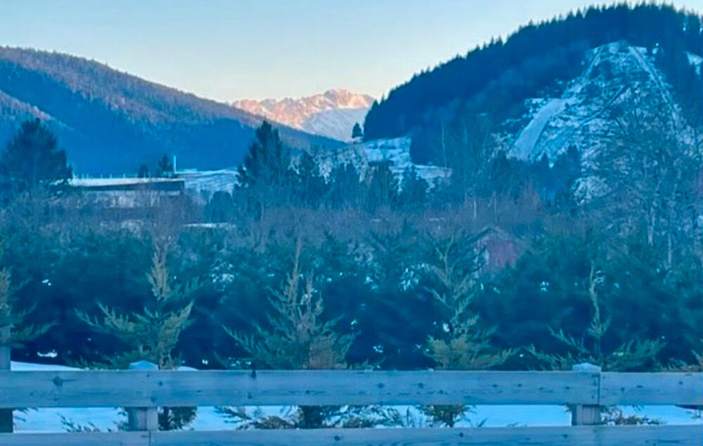 Vente Terrain terrain constructible à Autrans Grenoble
