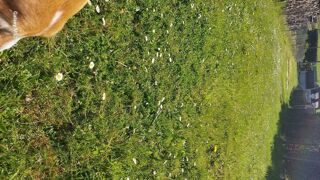  Terrain � vendre 1088 m�