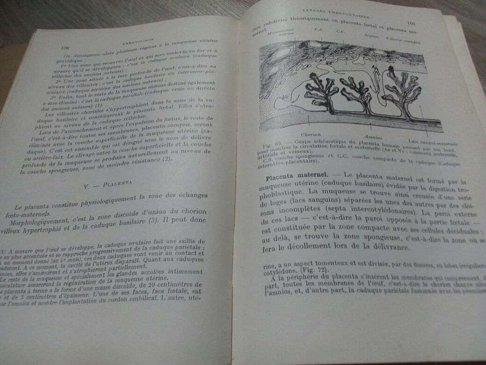 &eacute;l&eacute;ments d'embryologie 1939 Livres et BD