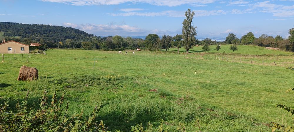 Vente Terrain 43300 MAZEYRAT D'ALLIER beau terrain à bâtir de 9228 m2 Mazeyrat-d'allier