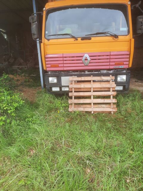RENAULT TRUCKS Camion - porteur > 3,5 t 1994 occasion La Fl&egrave;che 72200