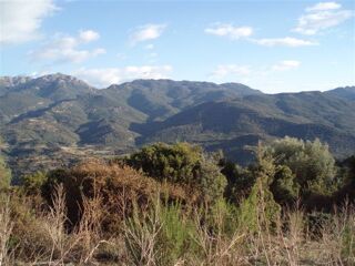  Terrain à vendre 44000 m² Pila-canale
