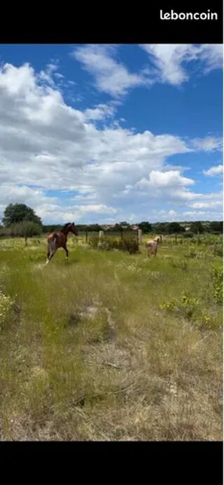  Terrain  vendre 10400 m