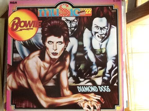 Disques vinyles David Bowie  0 Brviandes (10)