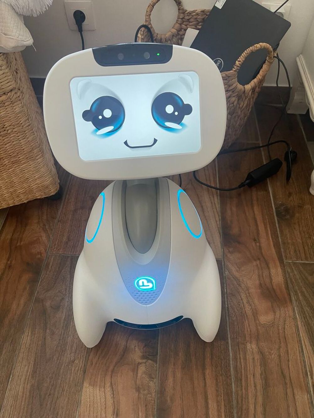 buddy robot Matériel informatique