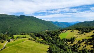  Maison � vendre 15 + pi�ces 800 m�