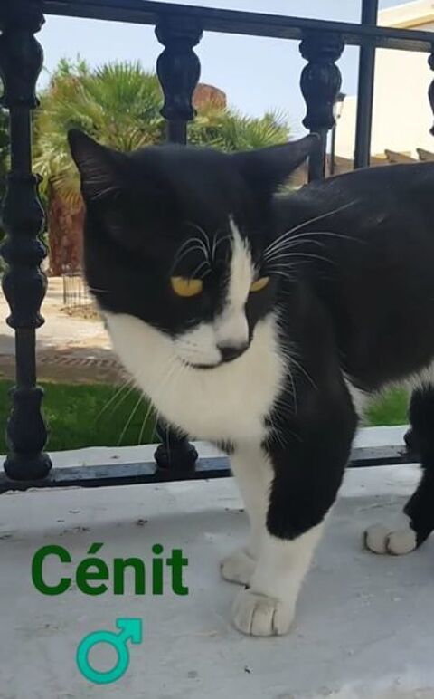 CENIT 95610 ragny