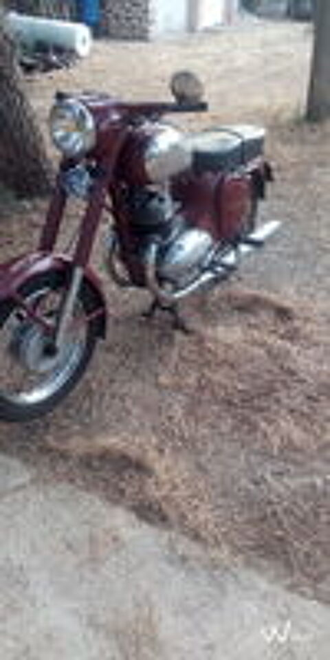 JAWA 1973 occasion 66300 Montauriol