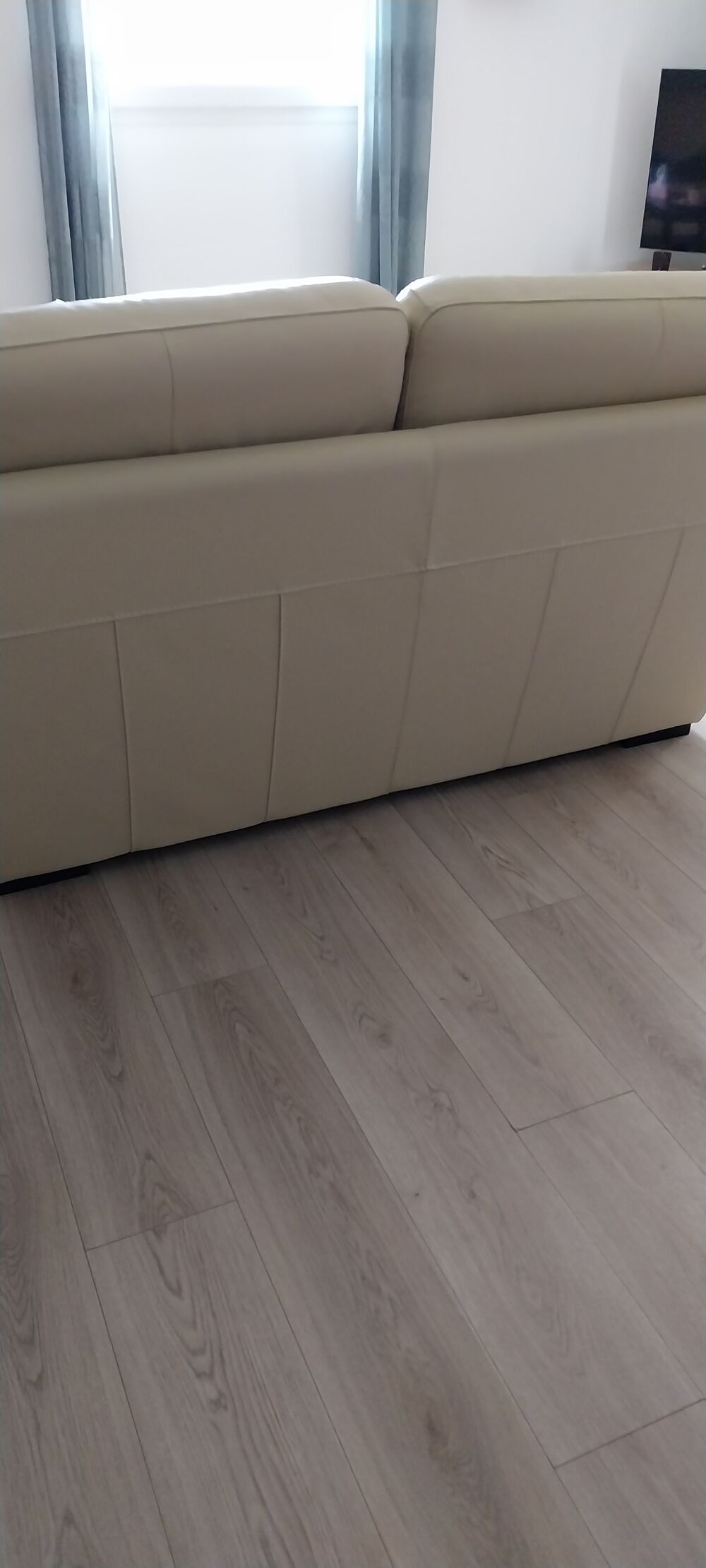 2 canap&eacute;s 2 places en cuir beige Meubles