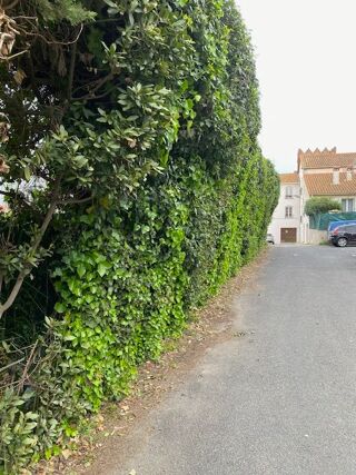  Appartement Perpignan (66000)