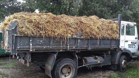 Fumier de Cheval pour Engrais 0 Mougins (06)