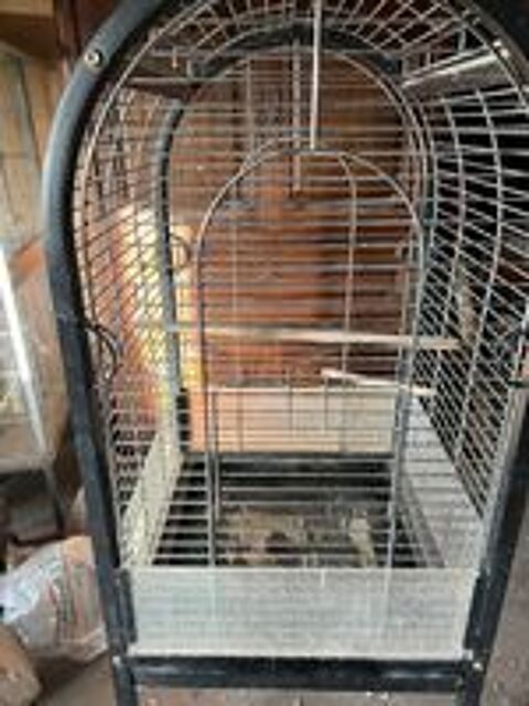   cages à oiseaux 