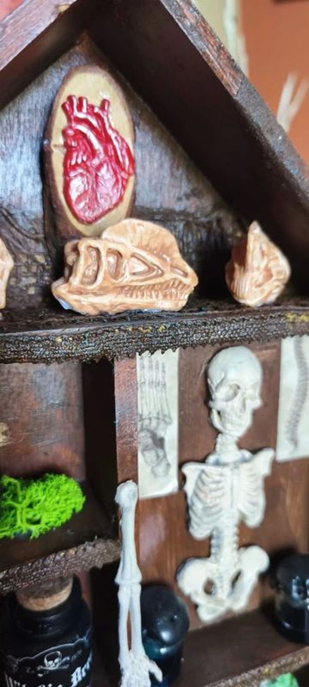 Petit cabinet de curiosit&eacute;s Décoration