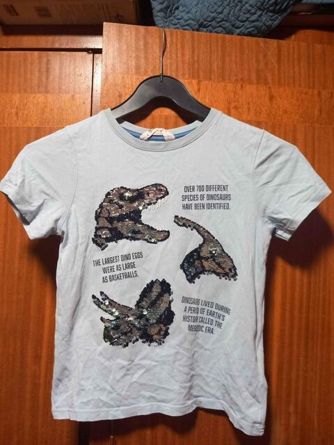 Tee shirt dinosaures H&M 8 ans 1 La Fert-sous-Jouarre (77)