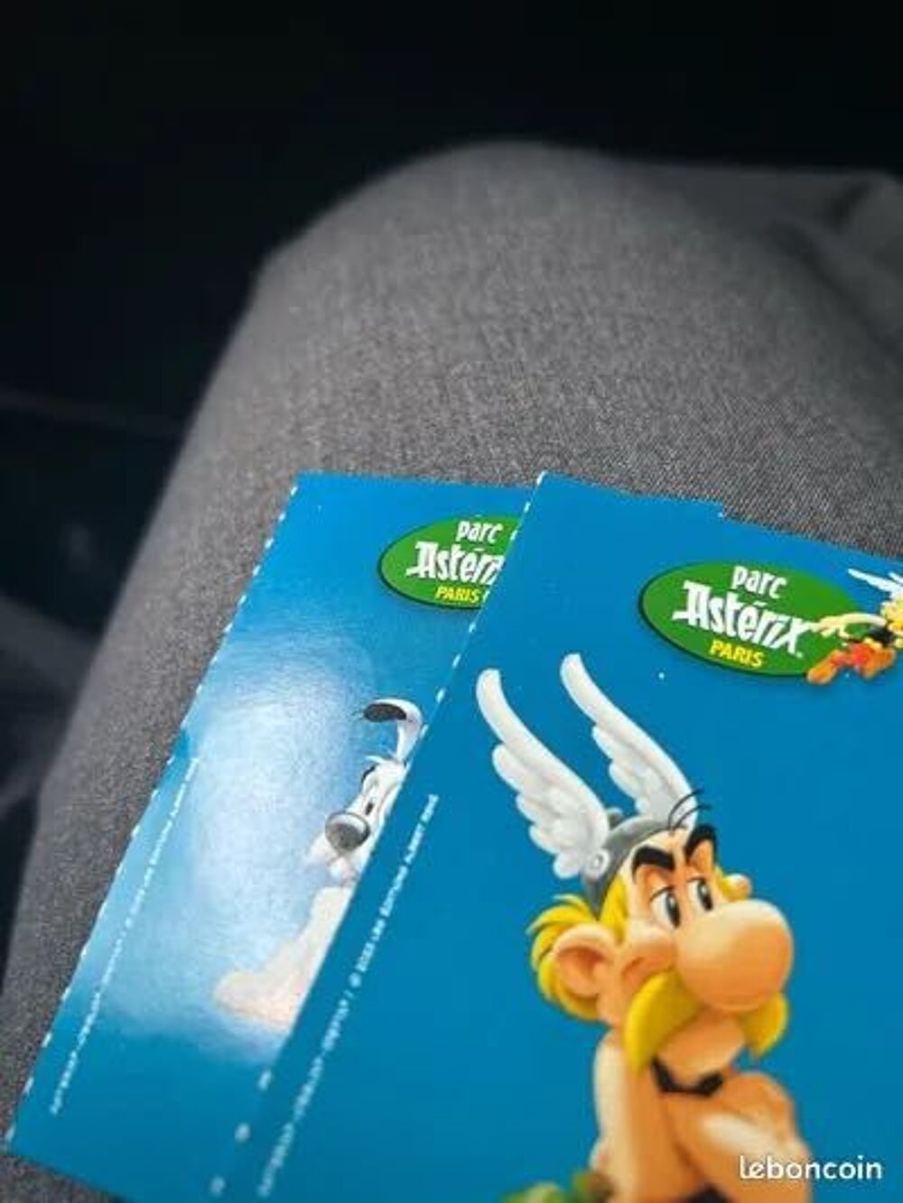billets parcs Ast&eacute;rix Billetterie