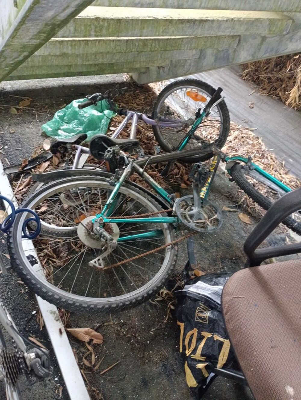 donne velo Vélos