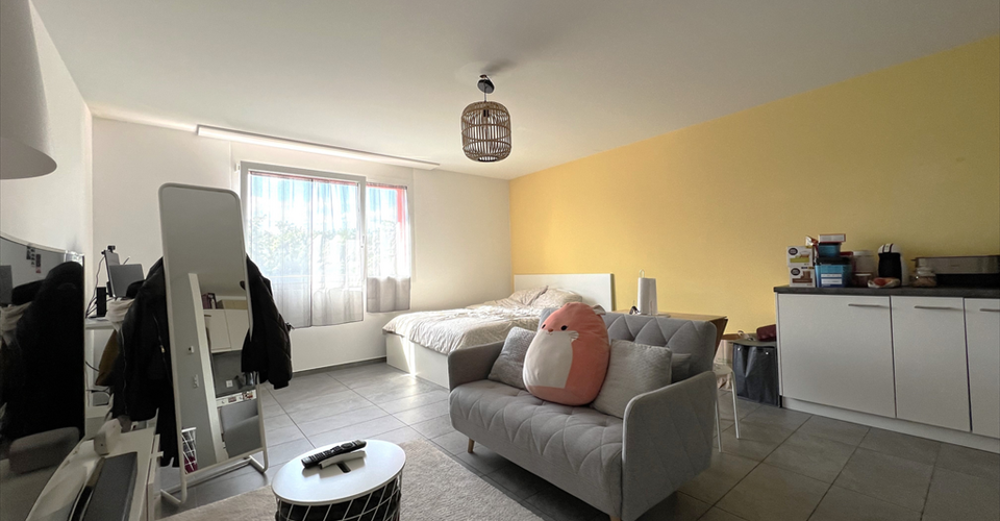 Location Appartement Appartement meublé Studio - 27m² -d'Aubergenville 78410 Aubergenville