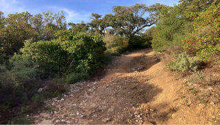  Terrain � vendre 37000 m�