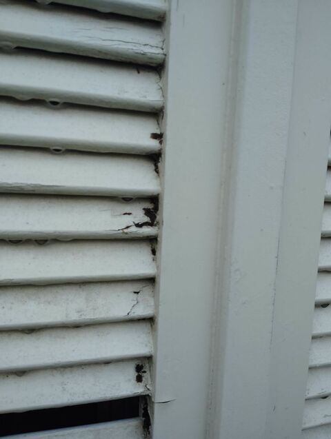 volets bois 5x2   � claires-voies � remanier car ab�m�s 125 Pontoise (95)