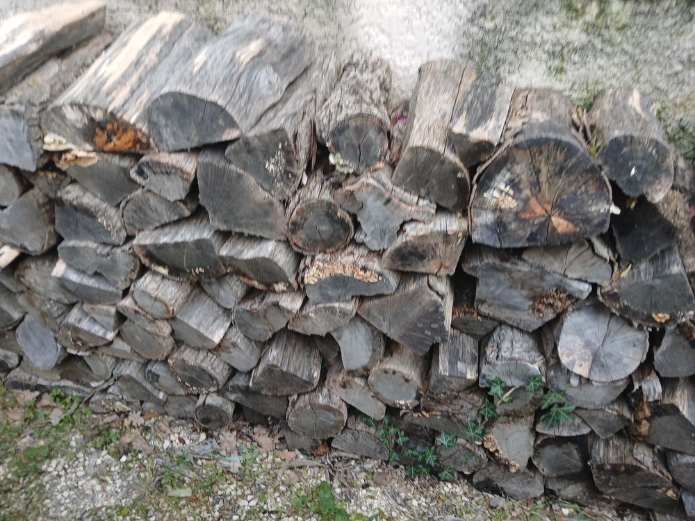 Bois de chauffage Bricolage
