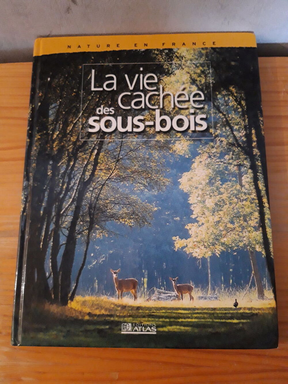 Livres documentaires Livres et BD