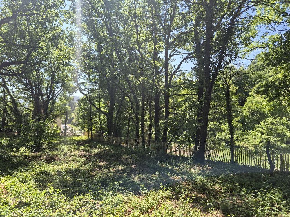 Vente Terrain ENTRECHAUX (84)  Terrain d'exception 1 159 m². 175000  euros Entrechaux