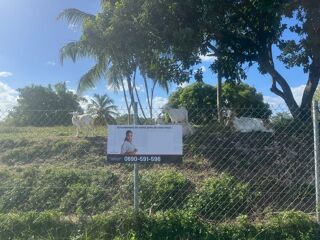  Terrain  vendre 1259 m