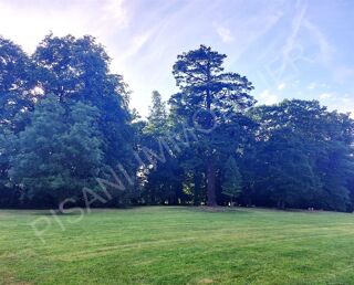  Appartement � vendre 2 pi�ces 35 m�