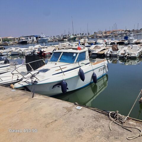 Bateaux &agrave; moteur P&ecirc;che-promenade 1992 occasion Le Grau-du-Roi 30240