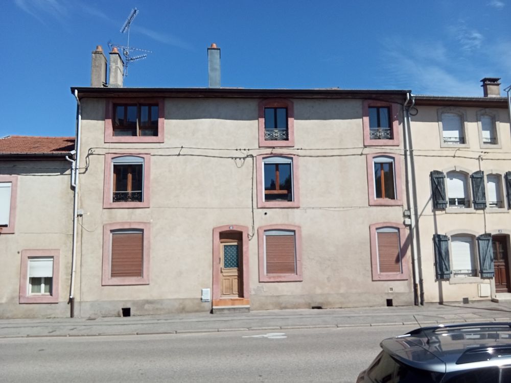 Vente Immeuble Immeuble 370m2  5 appartements LUNEVILLE Lunéville
