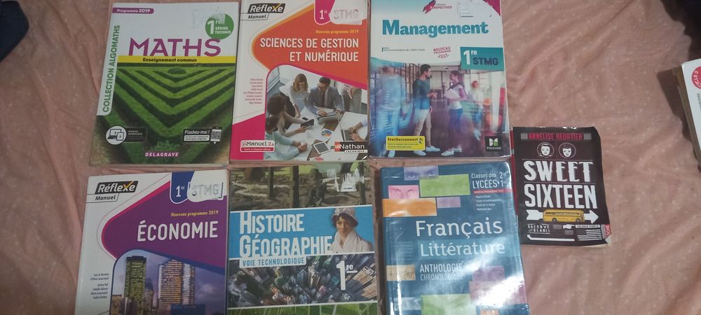Livres scolaire 1ere S.T.M.G Livres et BD